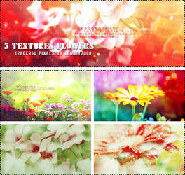 [Resources] 5 Textures Flower - Pack 1