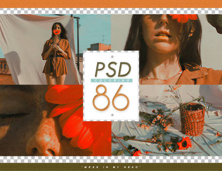 PSD # 86 [Mess In My Head]