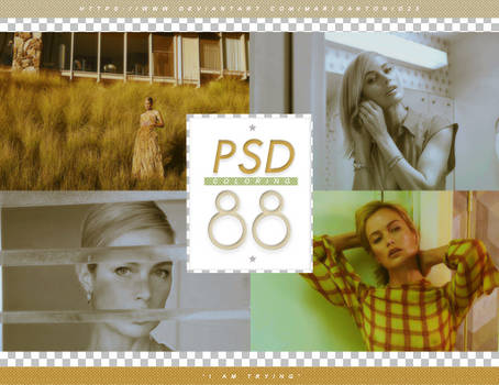 PSD # 88 [I Am Trying]
