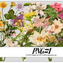 PNG#1. Flowers