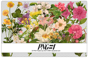 [PNG Pack] Vintage Flower PNG - 7PNGs by jangkarin on DeviantArt
