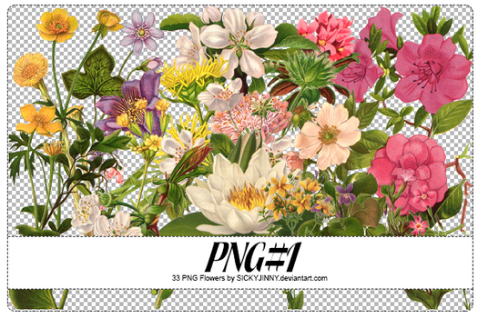 PNG#1. Flowers