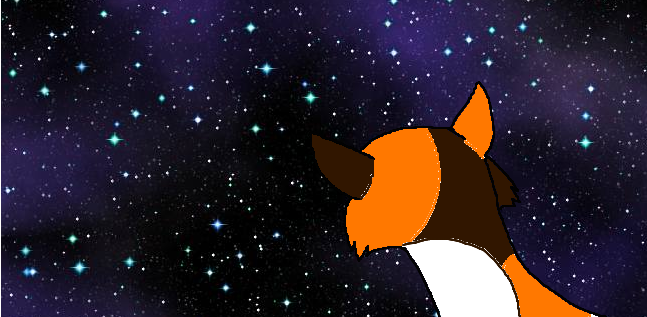 warrior cats beautiful