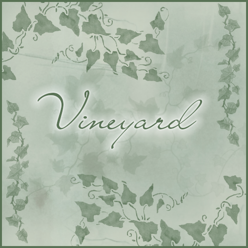 Vineyard