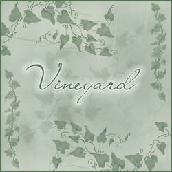 Vineyard