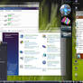 Windows Vista Beta 1 Style