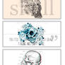 PACK TEXTURE Skull 3 Large Texture