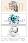 PACK TEXTURE Skull 3 Large Texture