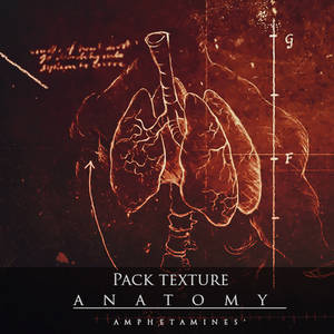 [PACK TEXTURE] Anatomy by Amphetamines'