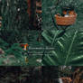 Cinematic Lightroom Preset For Desktop And Mobile