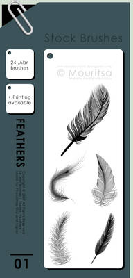 Brush Pack - Feathers