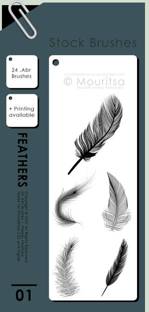 Brush Pack - Feathers