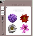 Object Pack - Petals
