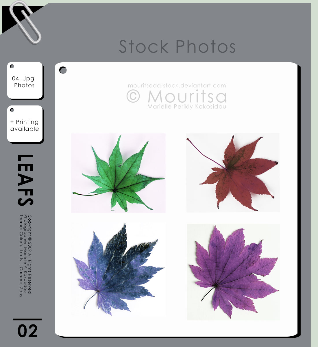 Photo Pack - Colorful Leafs