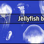 Jellyfish brush