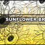 Sunflower brush