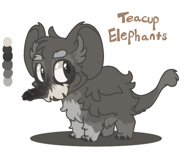 Teacup Elephant Real