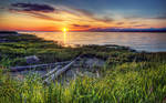 Fraser Spring by IvanAndreevich