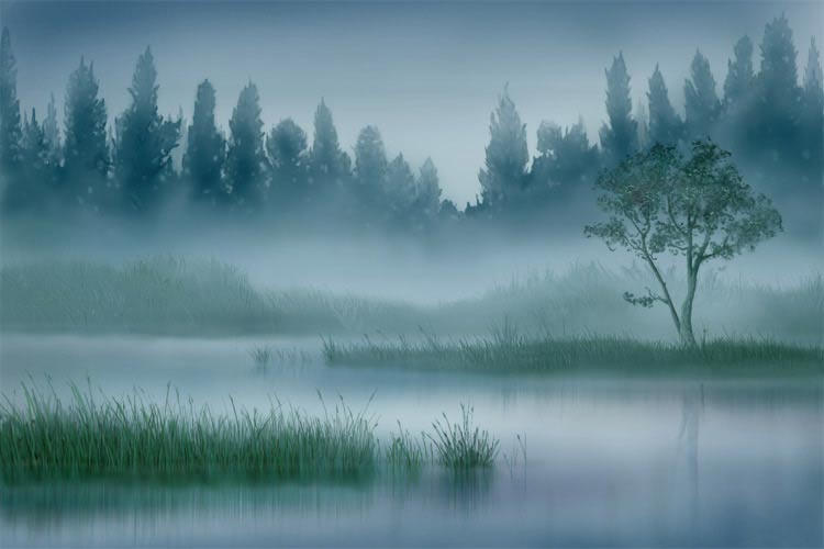 Туман рисунок. Туман иллюстрация. Рисование туманного пейзажа. Туман мультяшный.