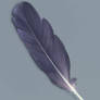 How to paint a feather