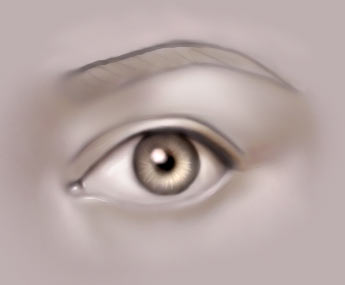 Drawing the human eye