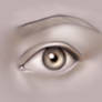 Drawing the human eye