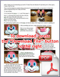 Conker 'CBFD' Instructions