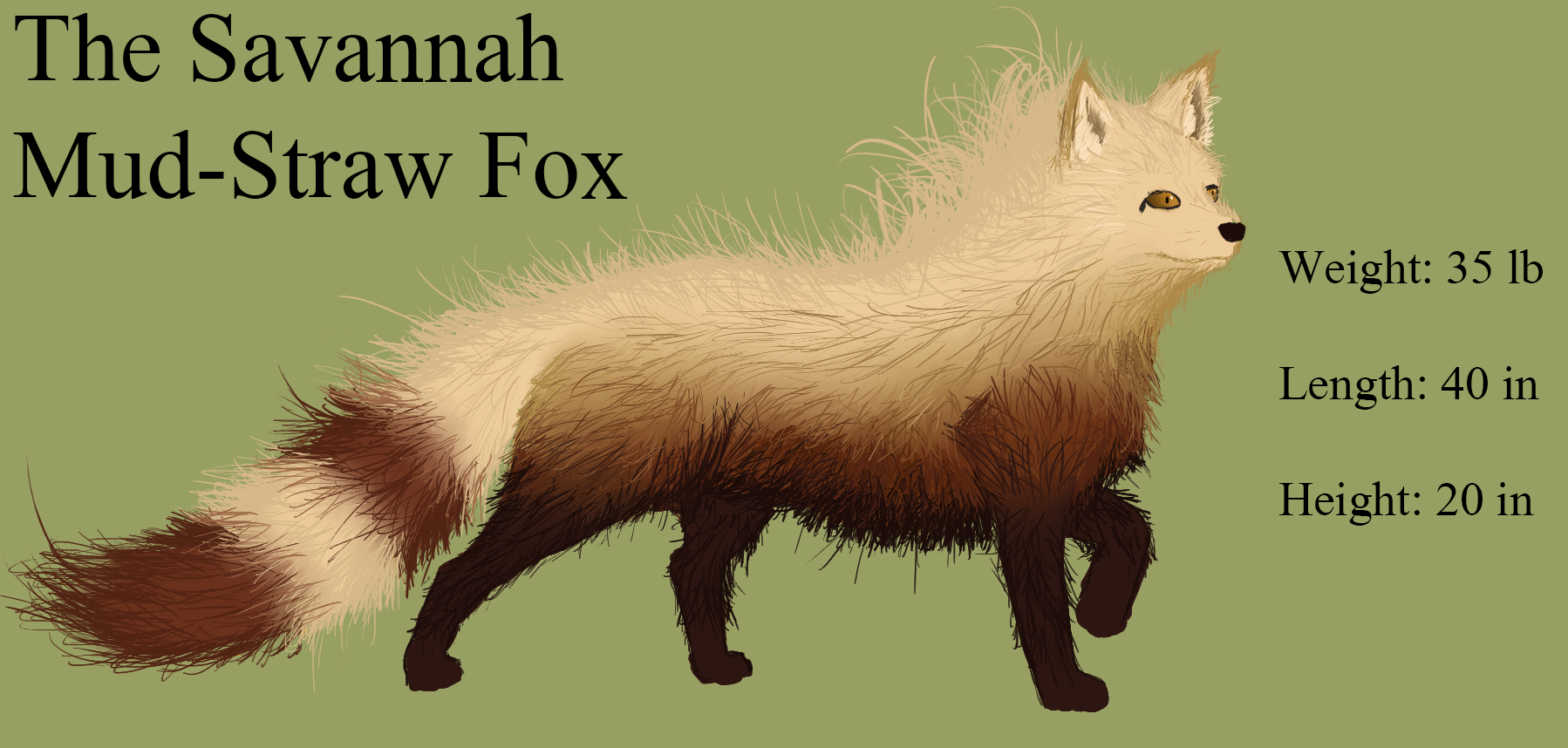 Fox photos savannah Nude Savannah