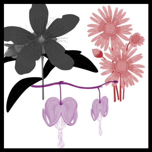 20 vector flowers brush set I by noema-13 on DeviantArt