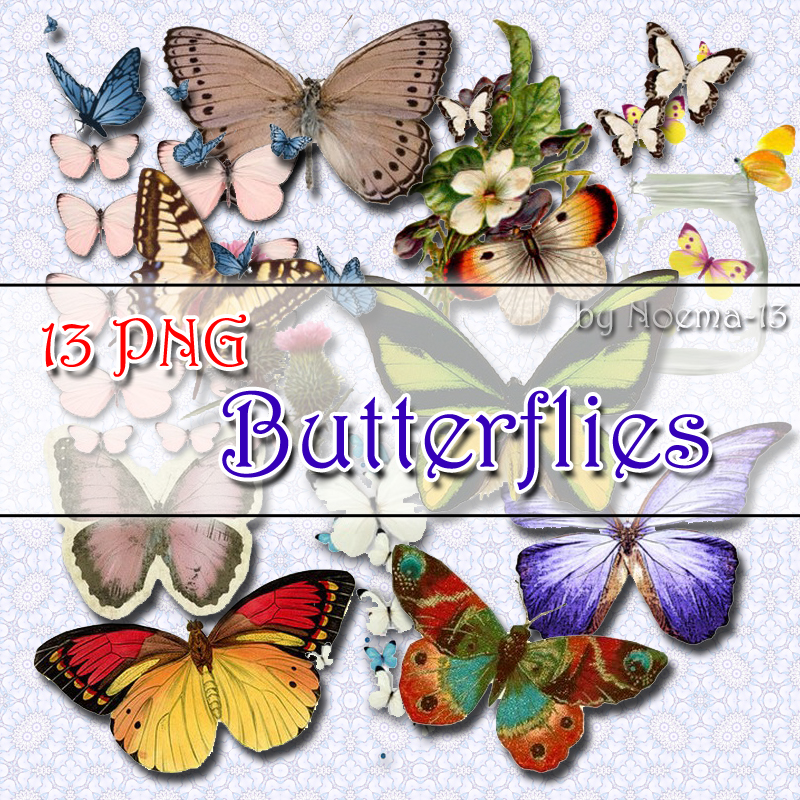 13 PNG - Butterflies