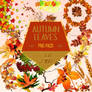 Autumn leaves PNG pack 01