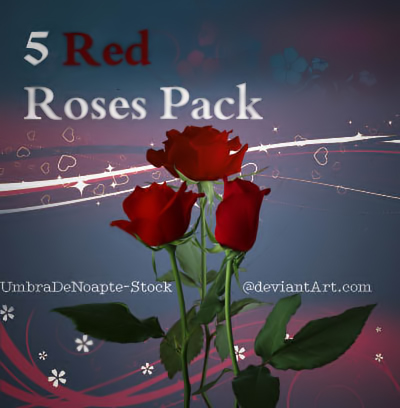 5 Red Roses Pack