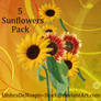 5 Sunflowers Pack