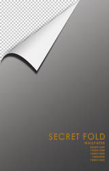 Secret fold