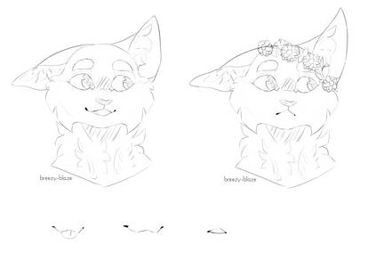 Free cat lineart - PSD and transparent PNG file