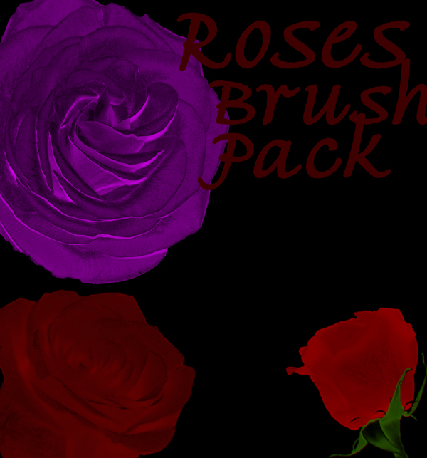 Rose Brushes 3 Pack