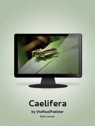 Caelifera Dark