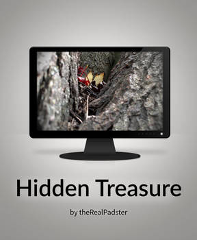 Hidden Treasure