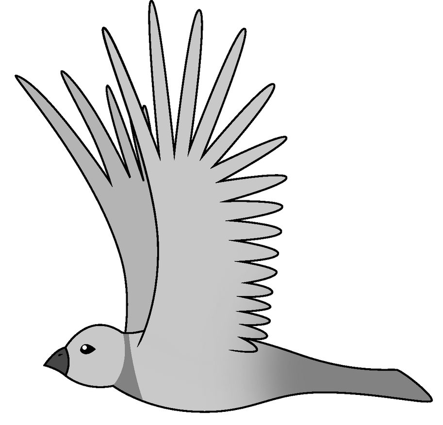 Bird Flight Cycle I Move By Cayfie On Deviantart