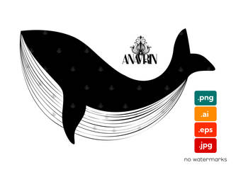 Whale Lineart Illustration Isolated