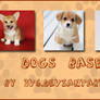 105 100x100 Dogs Bases