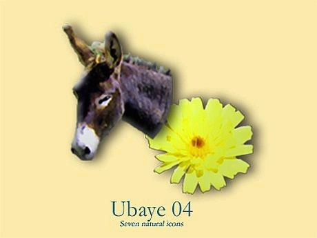 Ubaye 04