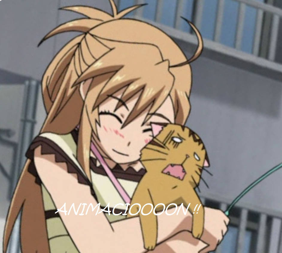 Wallpaper Nyan Koi Gif 3 By Luckygirlmarina On Deviantart For Android Free