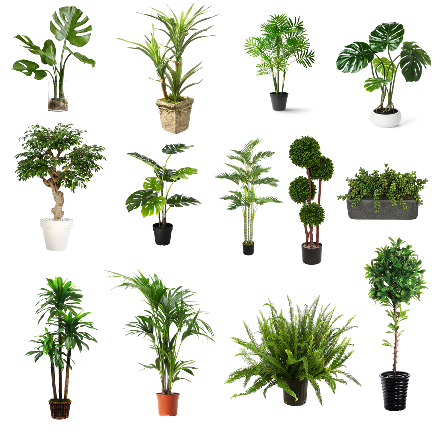 High Quality Plants Stocks by anulubi on DeviantArt