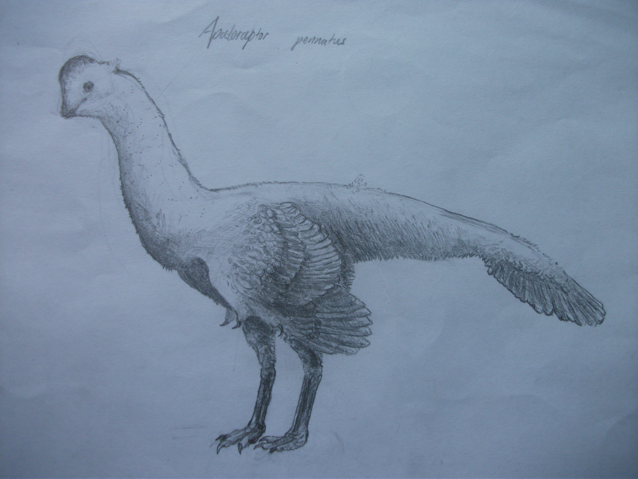 Apatoraptor pennatus by 8bitAviation on DeviantArt