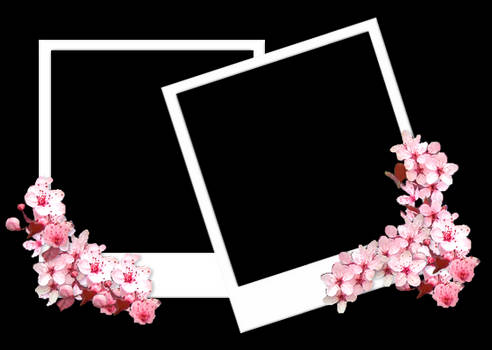 Sakura frame