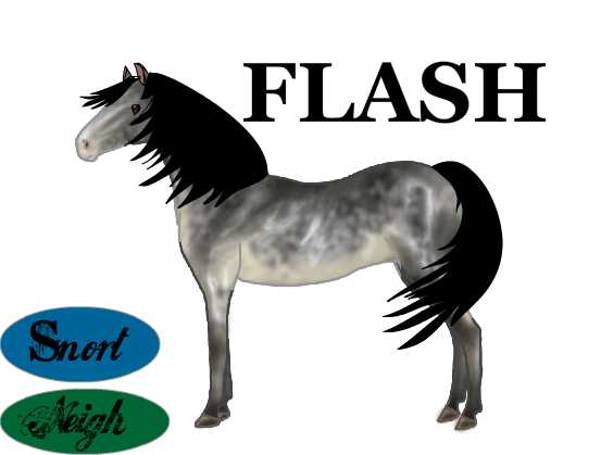 Horsie Noises-Flash