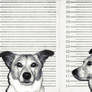 Mugshot Maggie .PSD