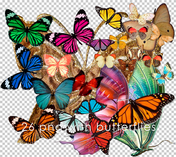 Butterflies by Gordon96 on DeviantArt