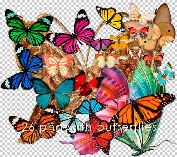 Butterflies by Gordon96 on DeviantArt
